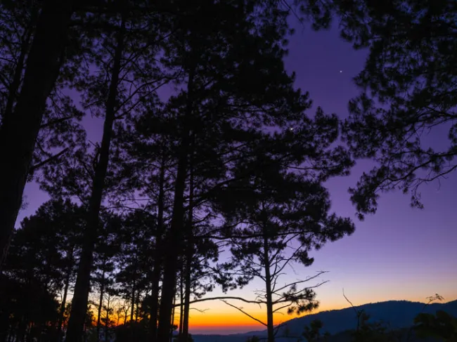 dawn
